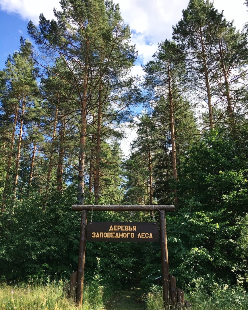 Приметы про лес Приметы про лес