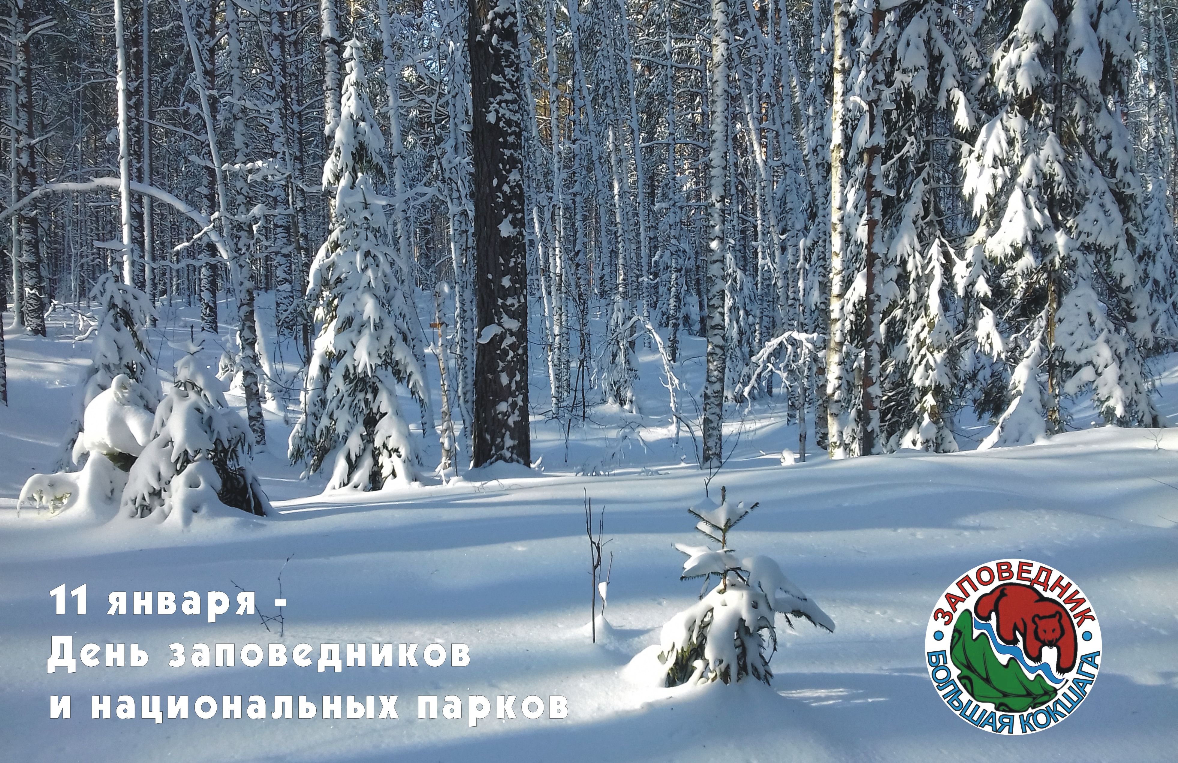 День заповедников и национальных парков в Новгородской области
