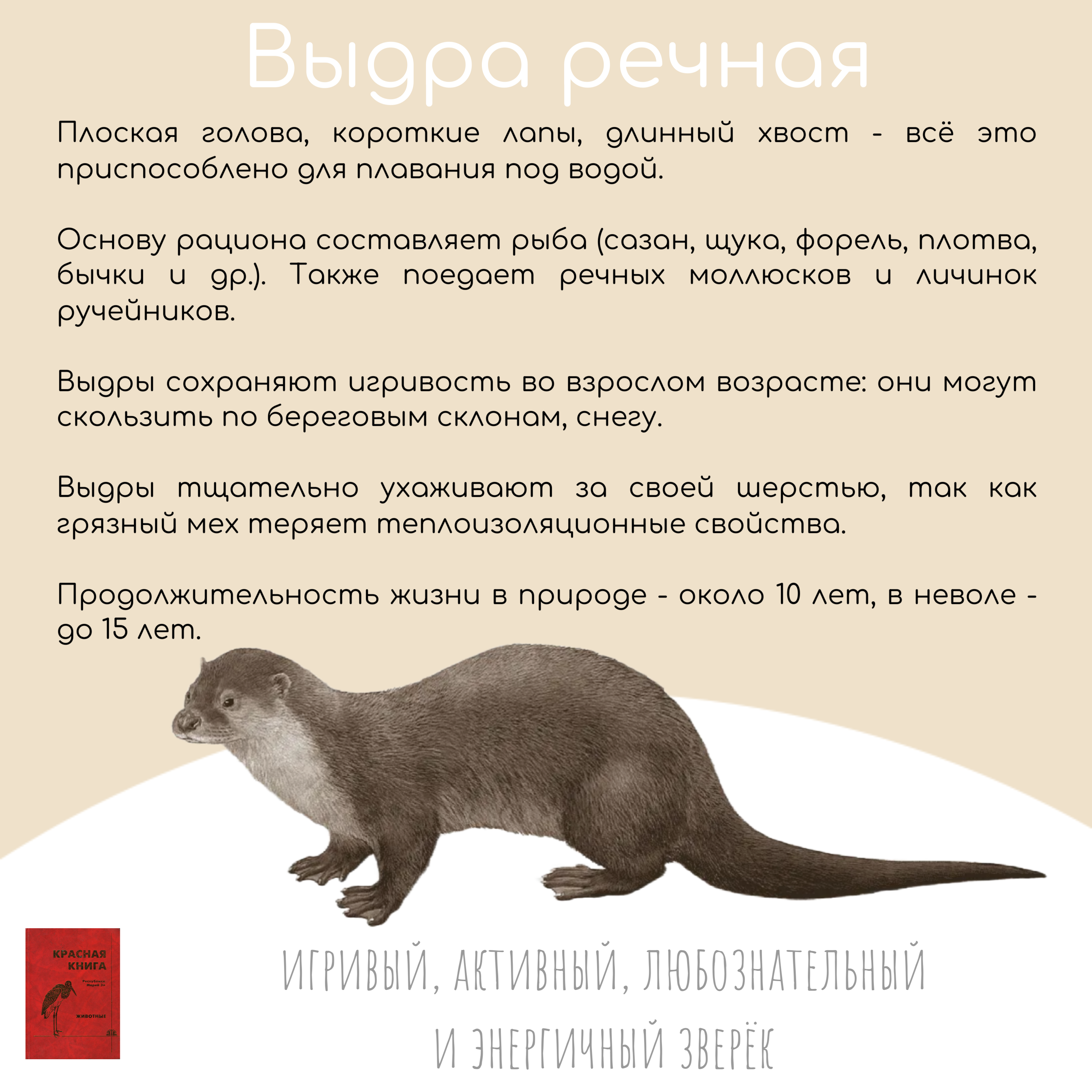 3 апреля - Всемирный день водных животных