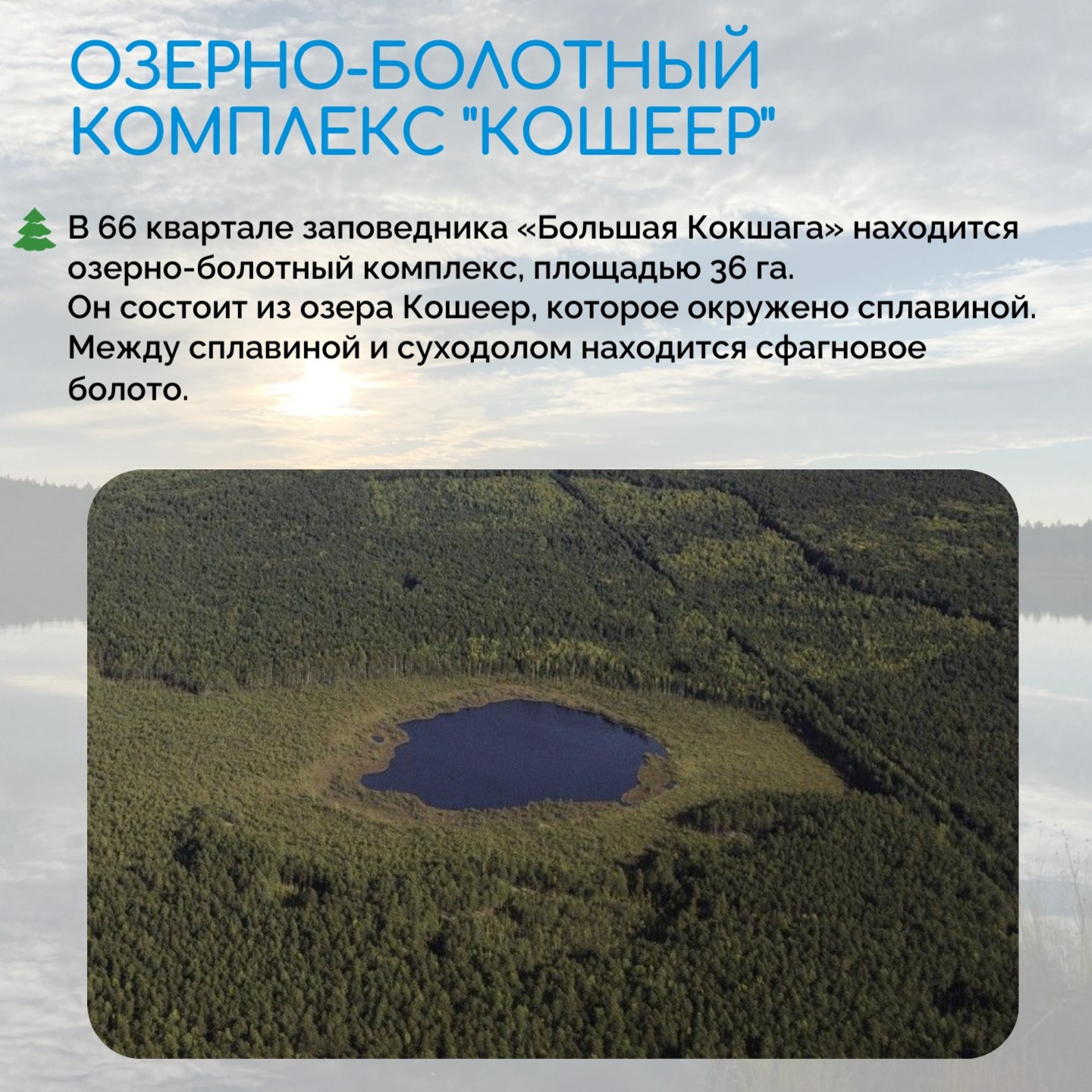 2 февраля - День водно-болотных угодий
