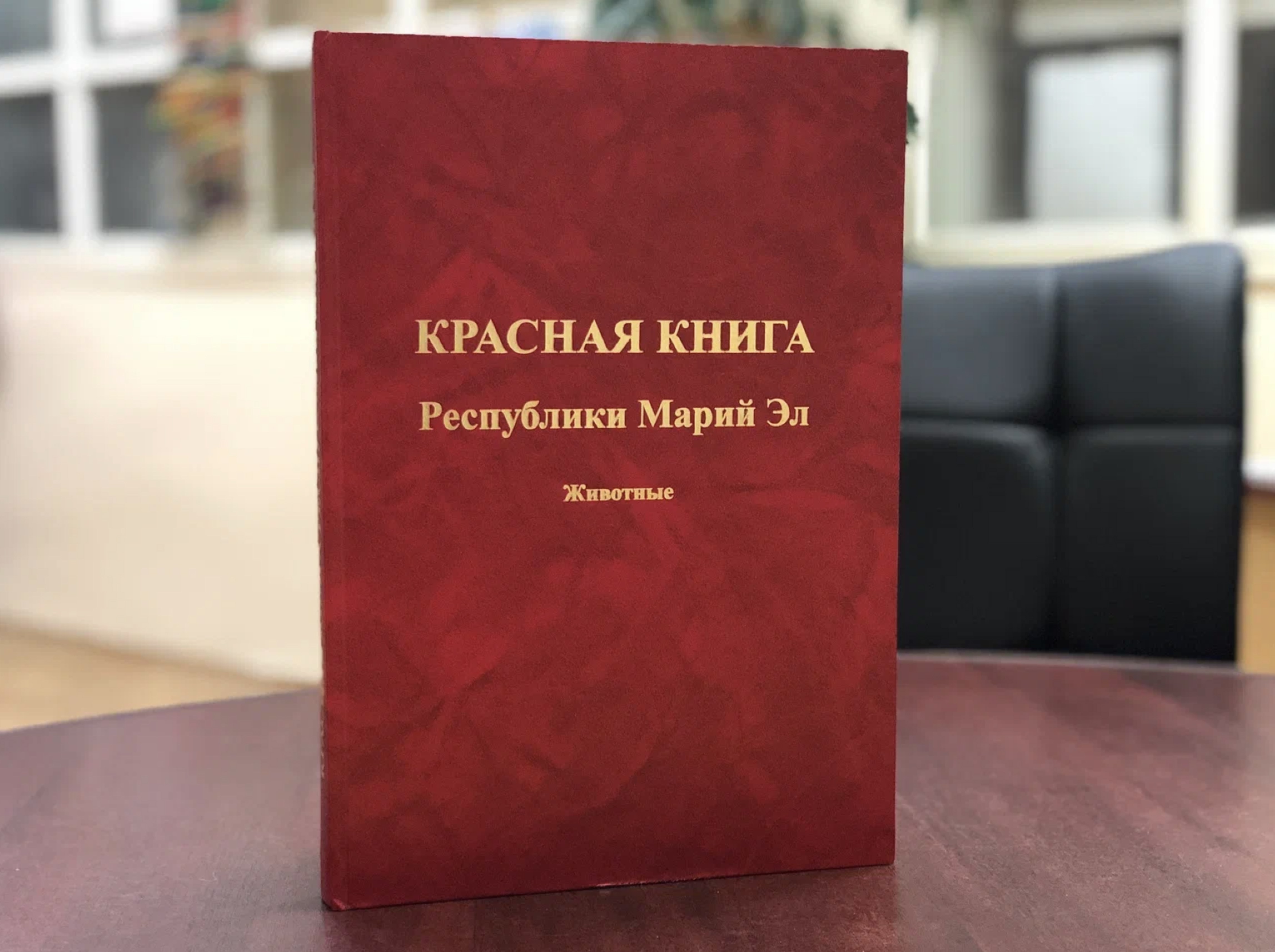 Занятия по Красной Книге для школьников проходят в визит-центре заповедника