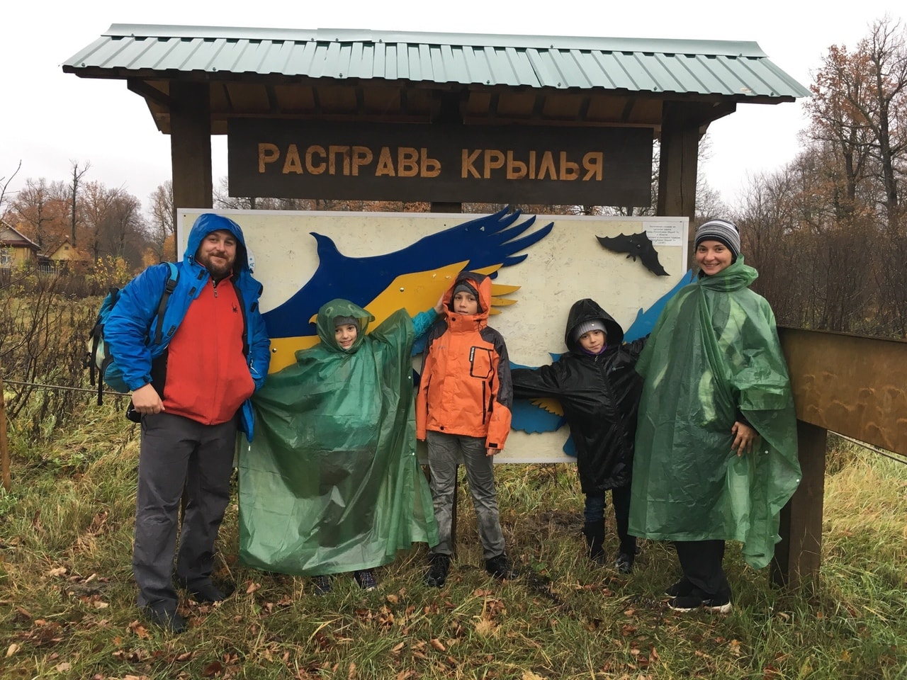 Наблюдение за водоплавающими птицами Наблюдение за водоплавающими птицами