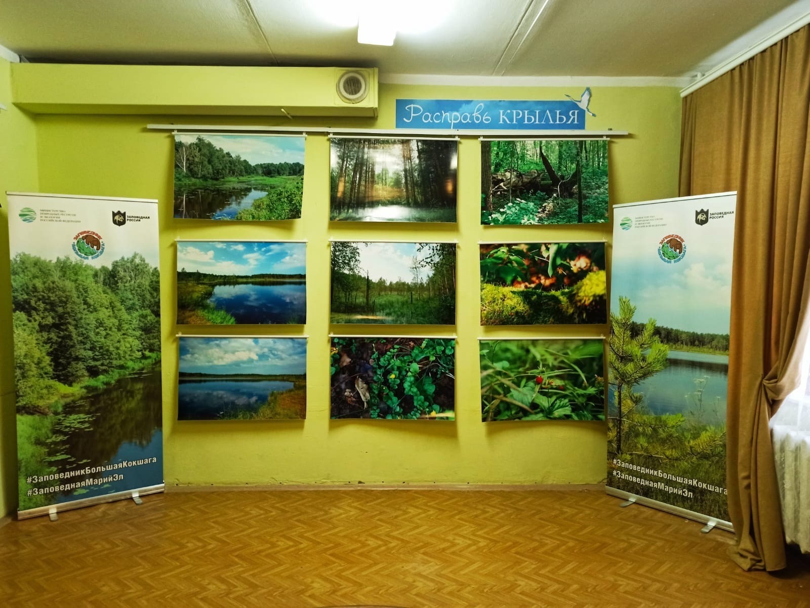 Экологическая выставка