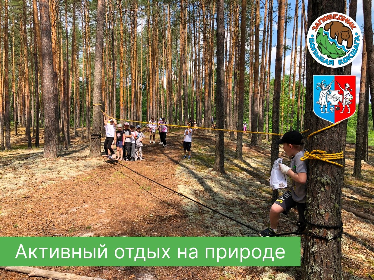 Детские программы от заповедника «Большая Кокшага» в поселке Старожильск Детские программы от заповедника «Большая Кокшага» в поселке Старожильск