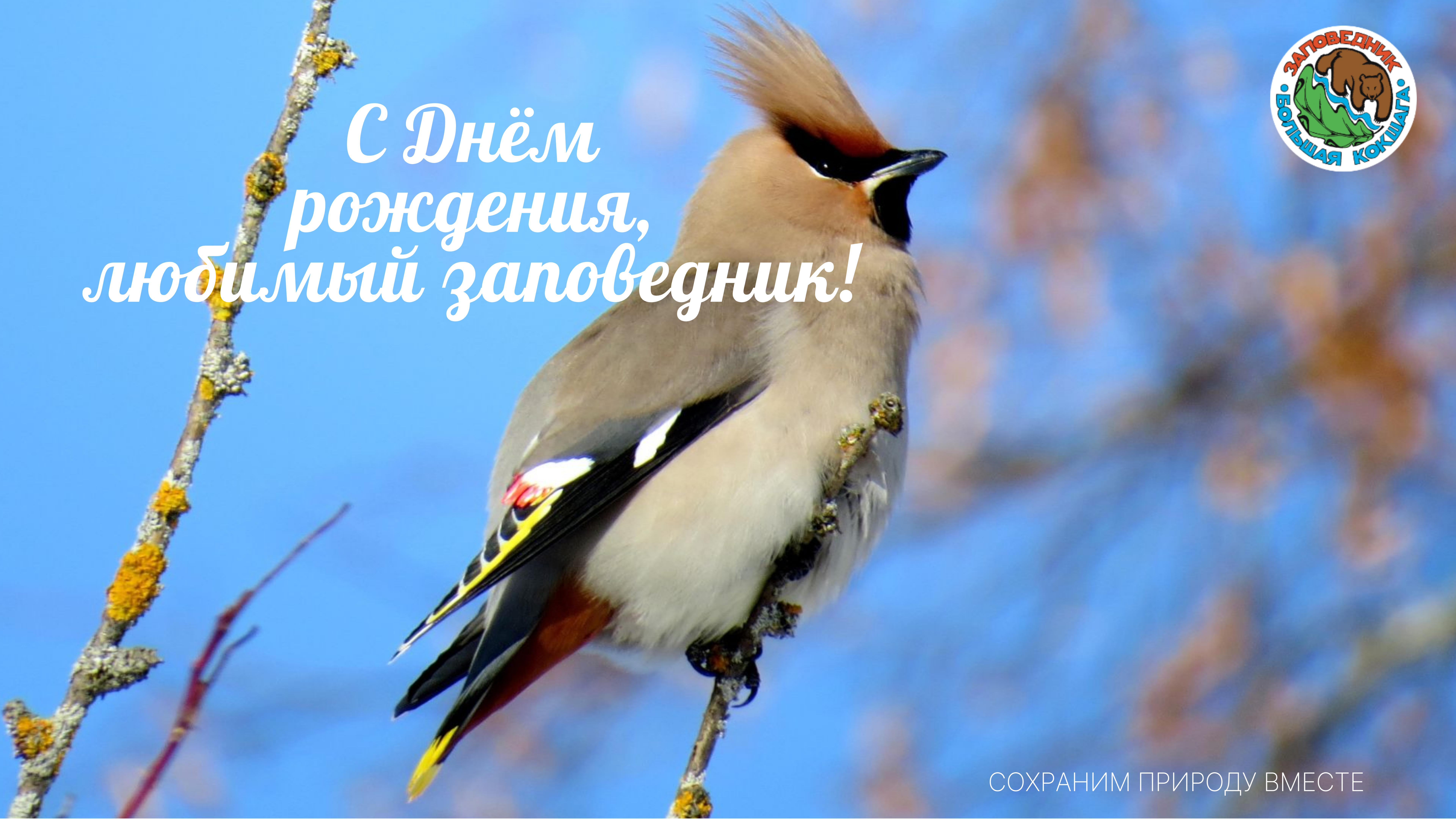 С Днем рождения, заповедник!