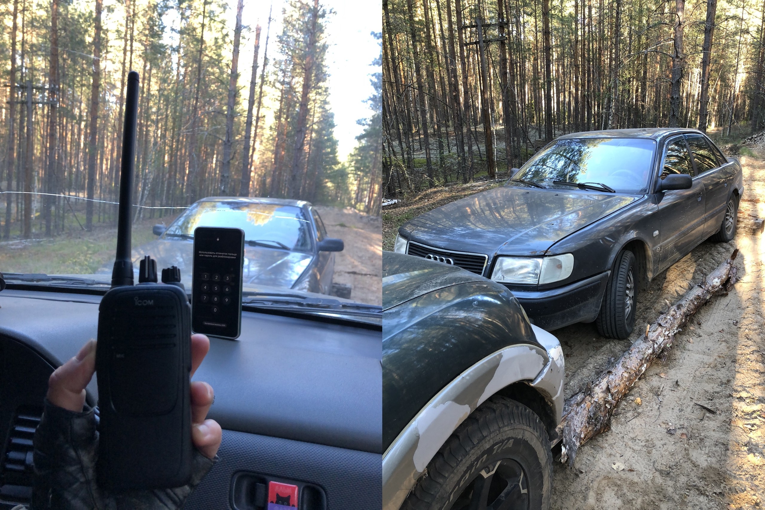 Нарушение заповедного режима