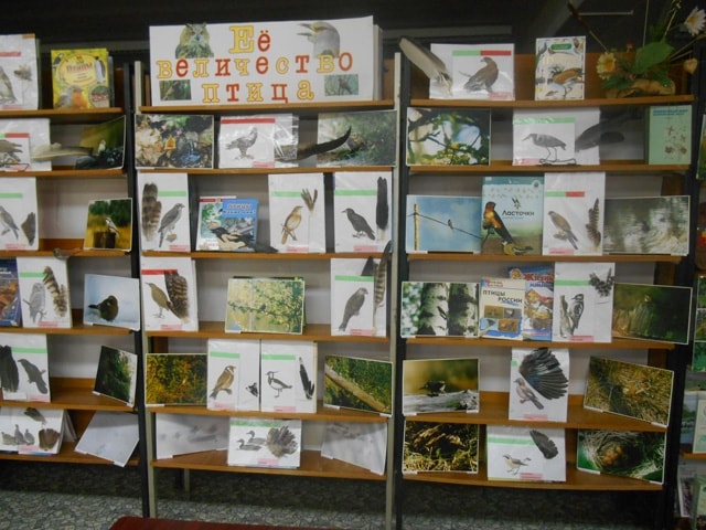 Выставка "Птицы заповедника"