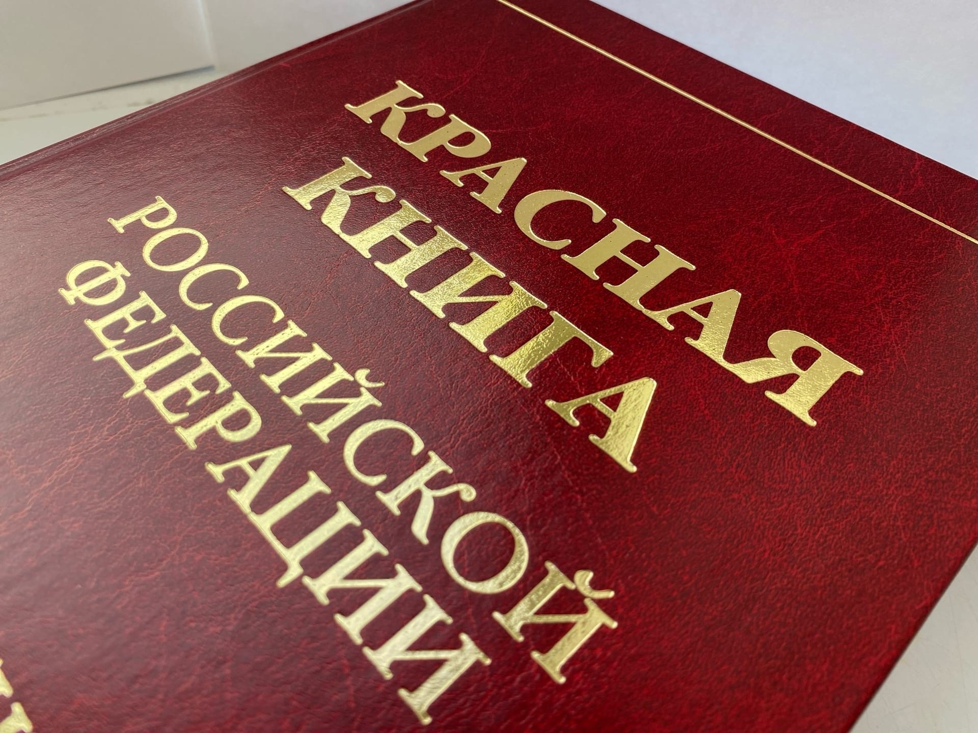 Опубликовано второе издание Красной Книги России (том "Животнрые"
