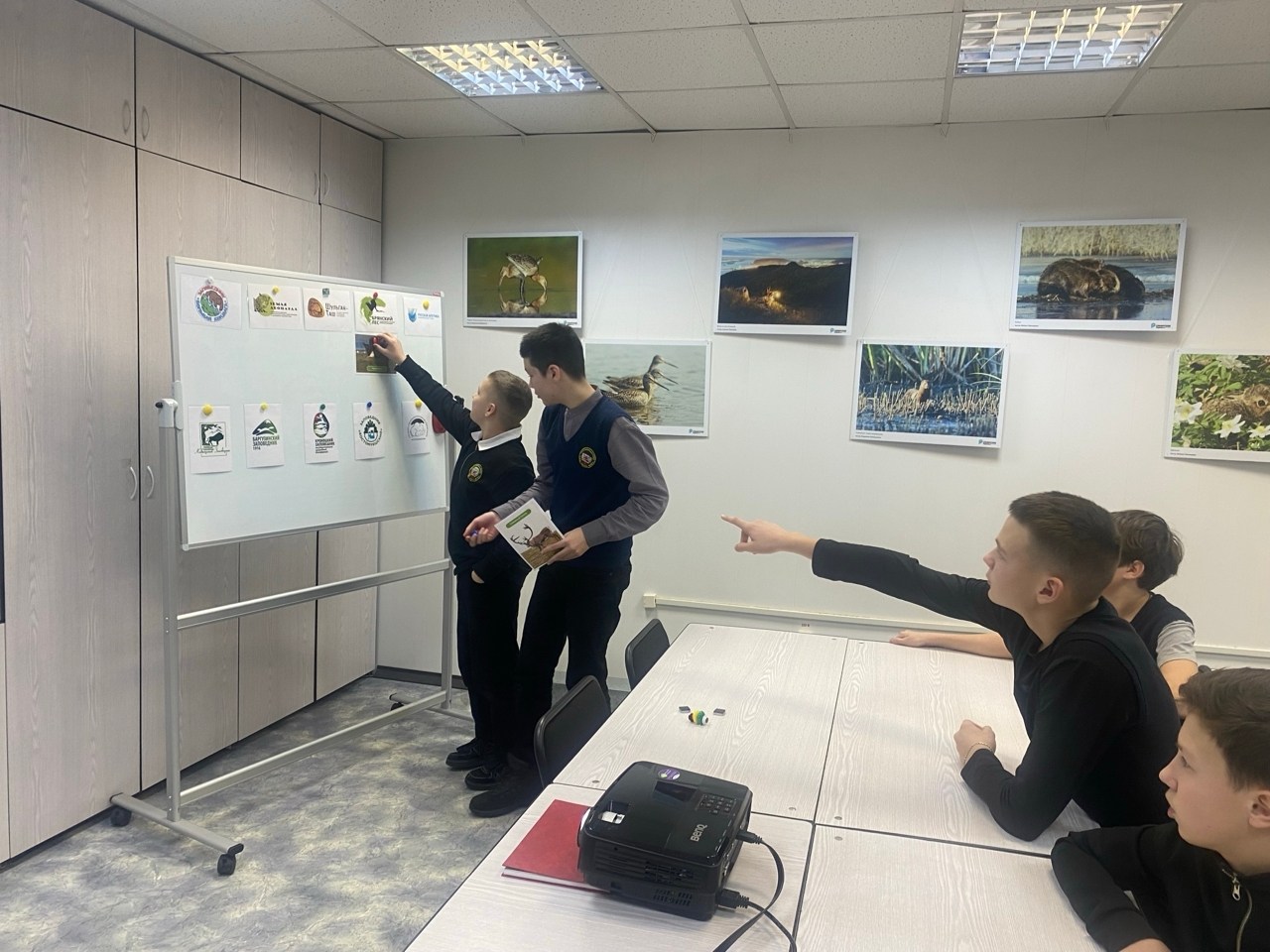 Где рождаются северные олени и живут «морские единороги»?