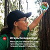 Открыта вакансия. Mетодист по экологическому просвещению и развитию познавательного туризма